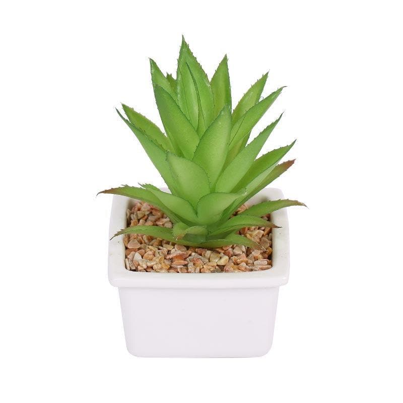 Artificial Plants - Faux Agave In White Pot - 14.5 cms