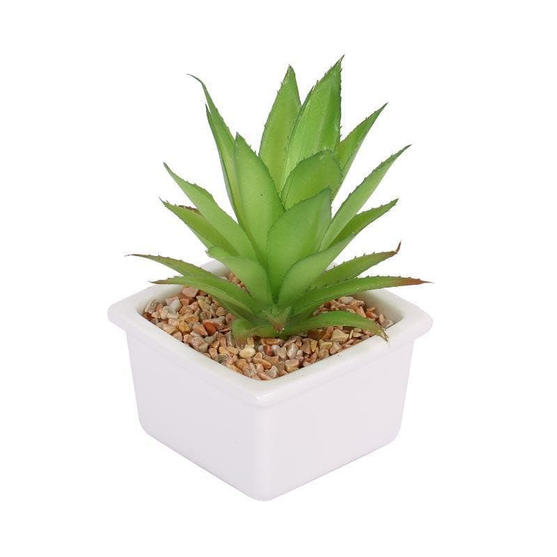 Artificial Plants - Faux Agave In White Pot - 14.5 cms