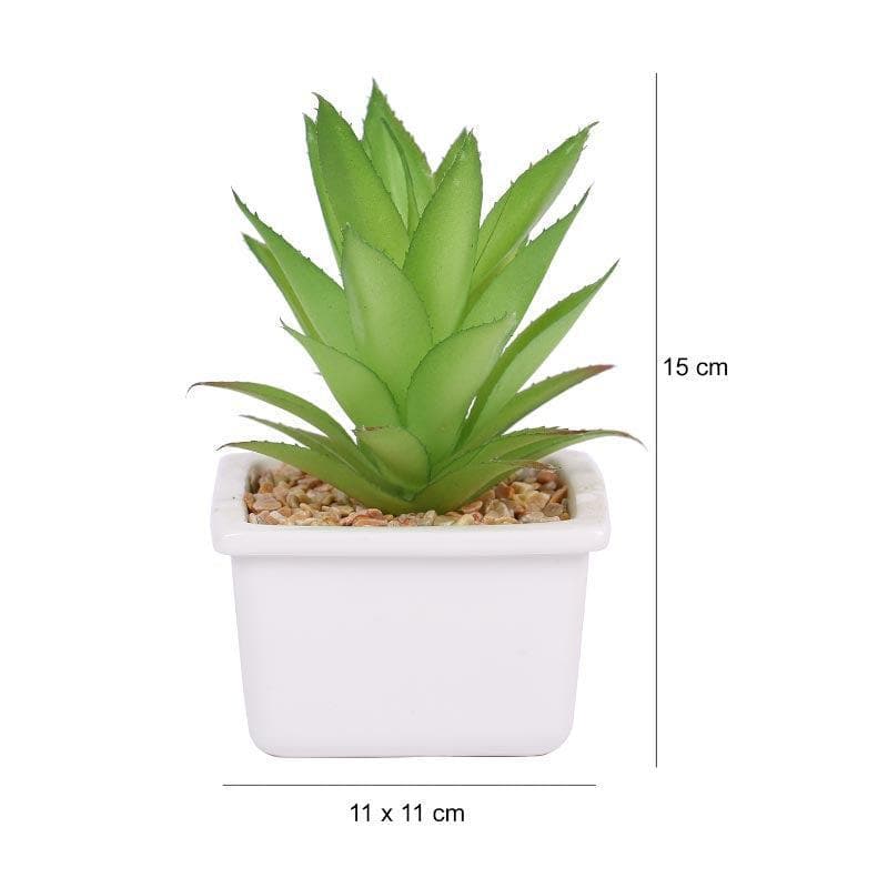 Artificial Plants - Faux Agave In White Pot - 14.5 cms