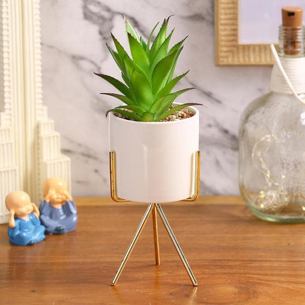 Artificial Plants - Faux Agave In White Pot With Tripod - 25 cms