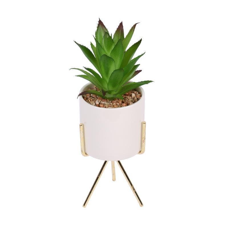 Artificial Plants - Faux Agave In White Pot With Tripod - 25 cms