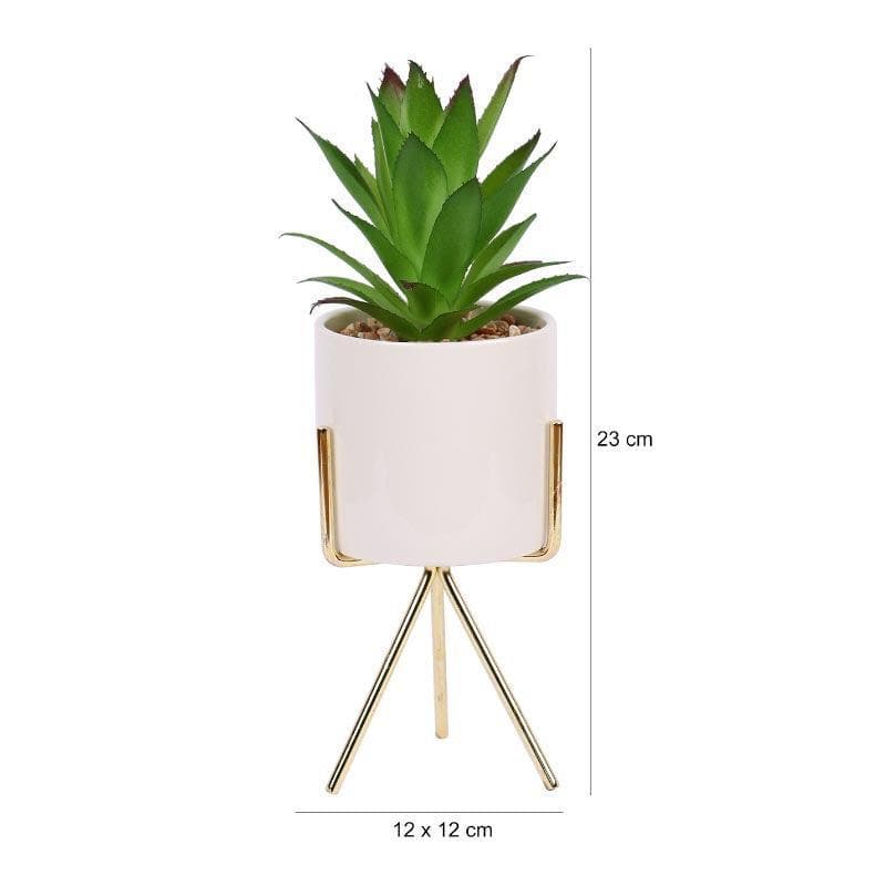 Artificial Plants - Faux Agave In White Pot With Tripod - 25 cms