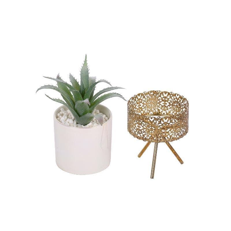 Buy Faux Agave Tequilana In Ceramic Pot With Tripod - 24 cms Artificial Plants from Vaaree