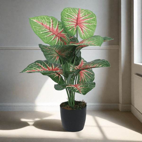 Artificial Plants - Faux Aglonema Silk Plant With Pot - 55 cms