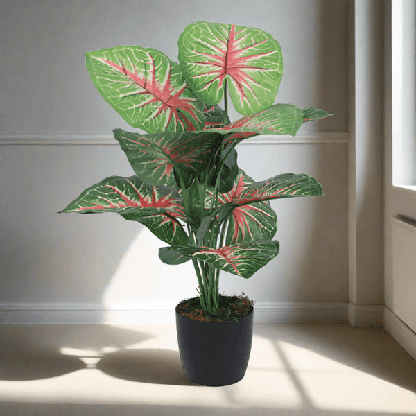 Artificial Plants - Faux Aglonema Silk Plant With Pot - 55 cms