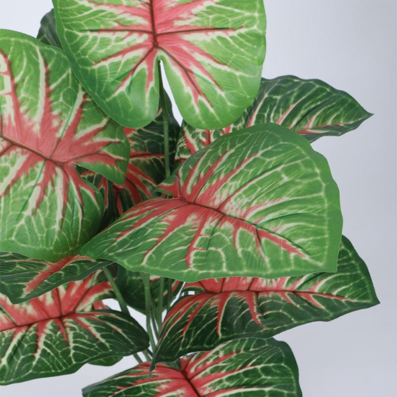 Buy Faux Aglonema Silk Plant With Pot - 55 cms Artificial Plants from Vaaree