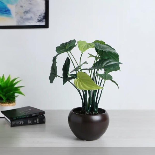 Artificial Plants - Faux Alocasia Bonsai In Bowl Pot - 37 cms