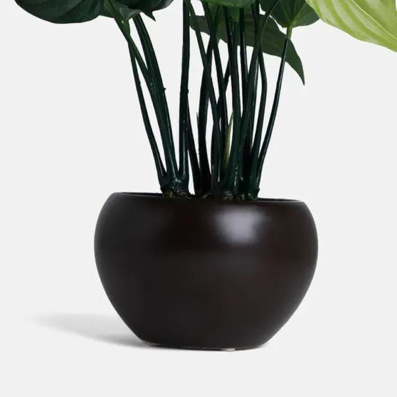 Artificial Plants - Faux Alocasia Bonsai In Bowl Pot - 37 cms