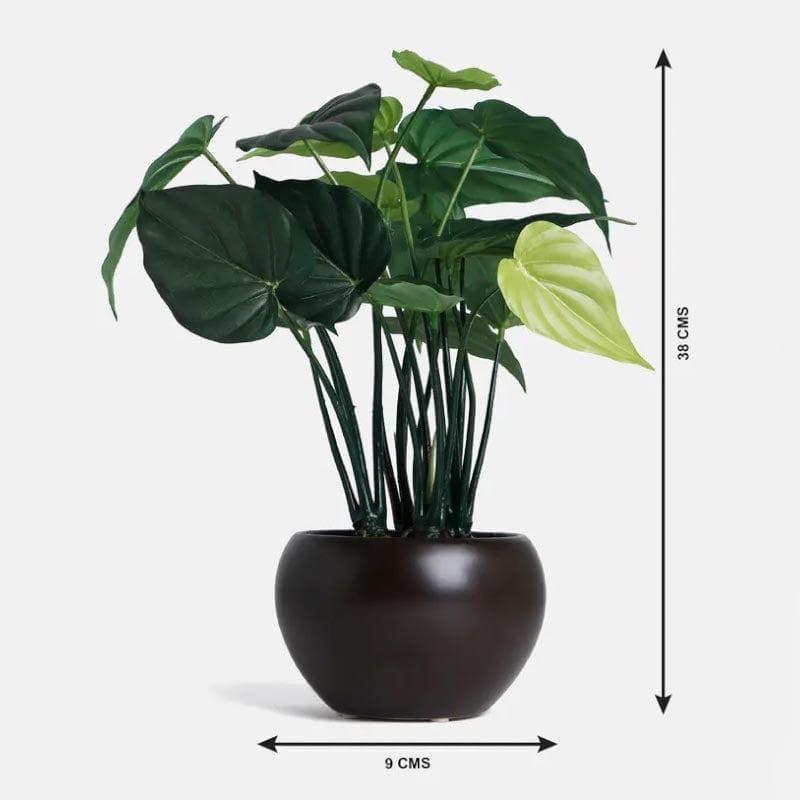 Artificial Plants - Faux Alocasia Bonsai In Bowl Pot - 37 cms