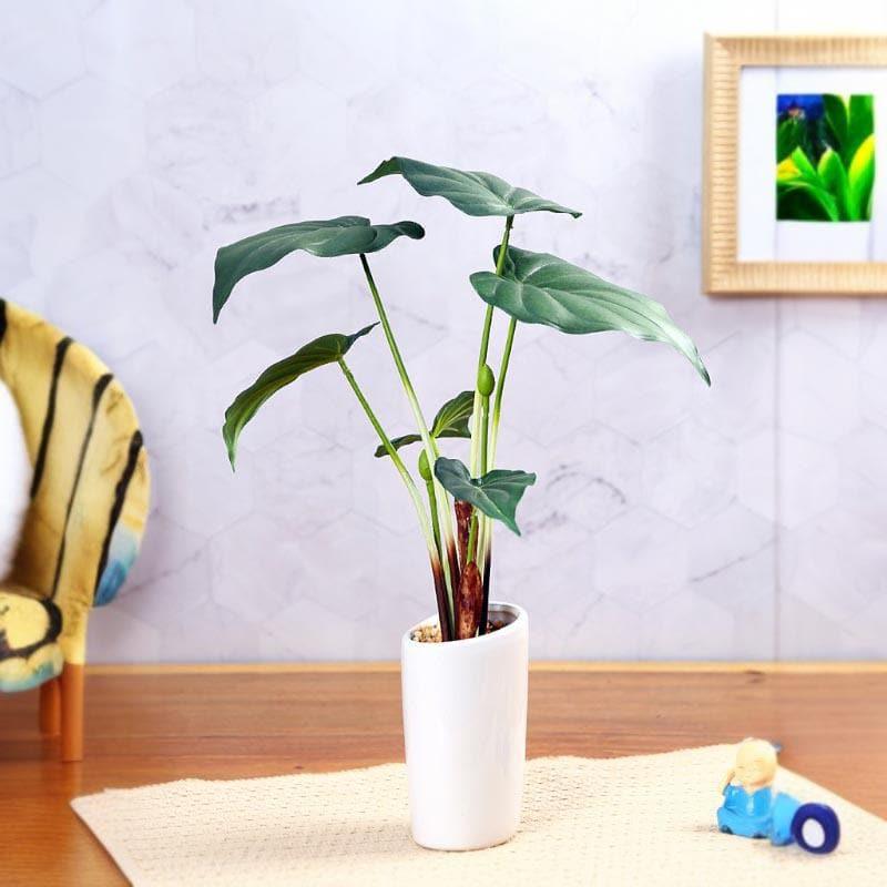 Artificial Plants - Faux Alocasia Bonsai In Ceramic Pot - 38 cms