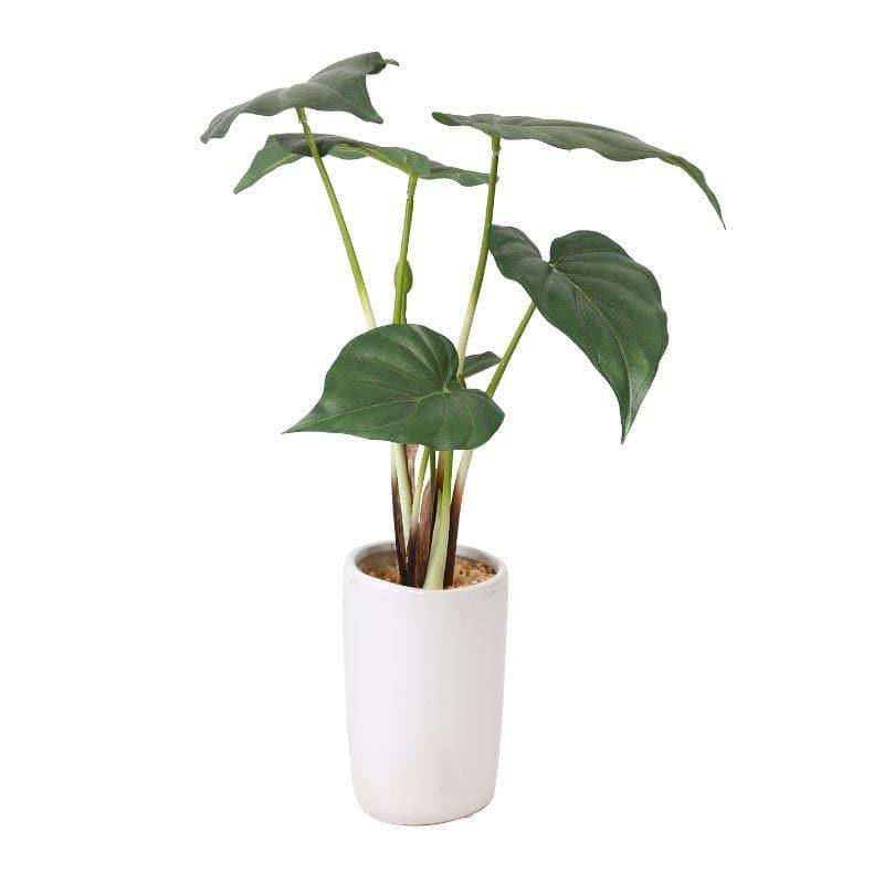 Artificial Plants - Faux Alocasia Bonsai In Ceramic Pot - 38 cms