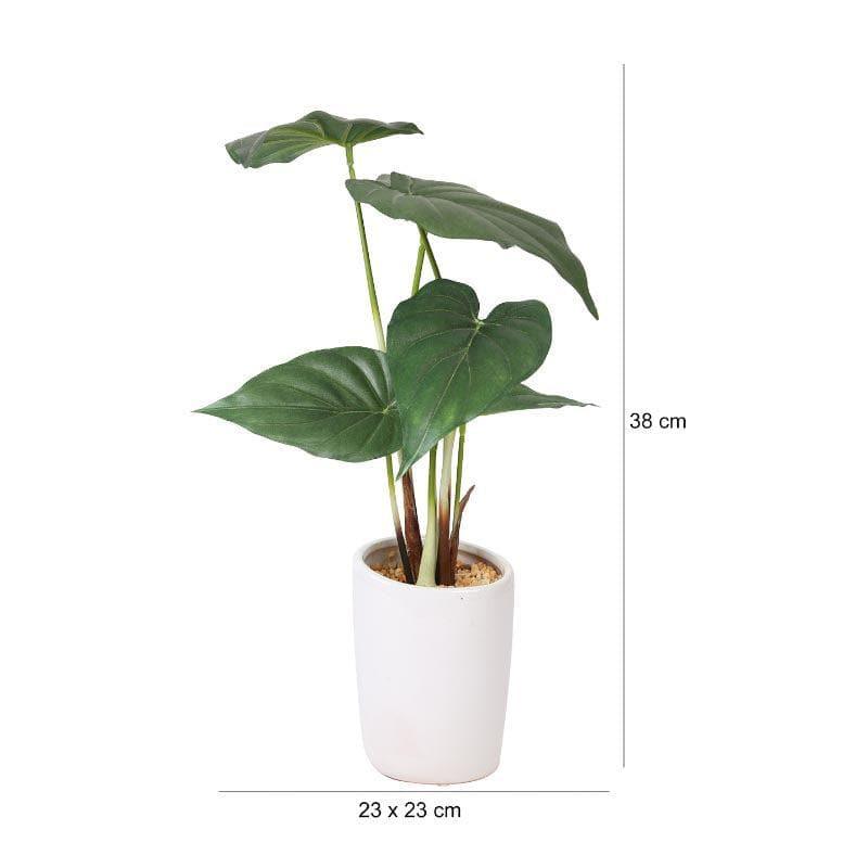 Artificial Plants - Faux Alocasia Bonsai In Ceramic Pot - 38 cms