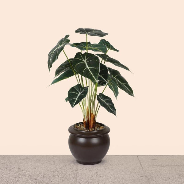 Artificial Plants - Faux Alocasia Bonsai In Ceramic Pot (59 cms) - Brown