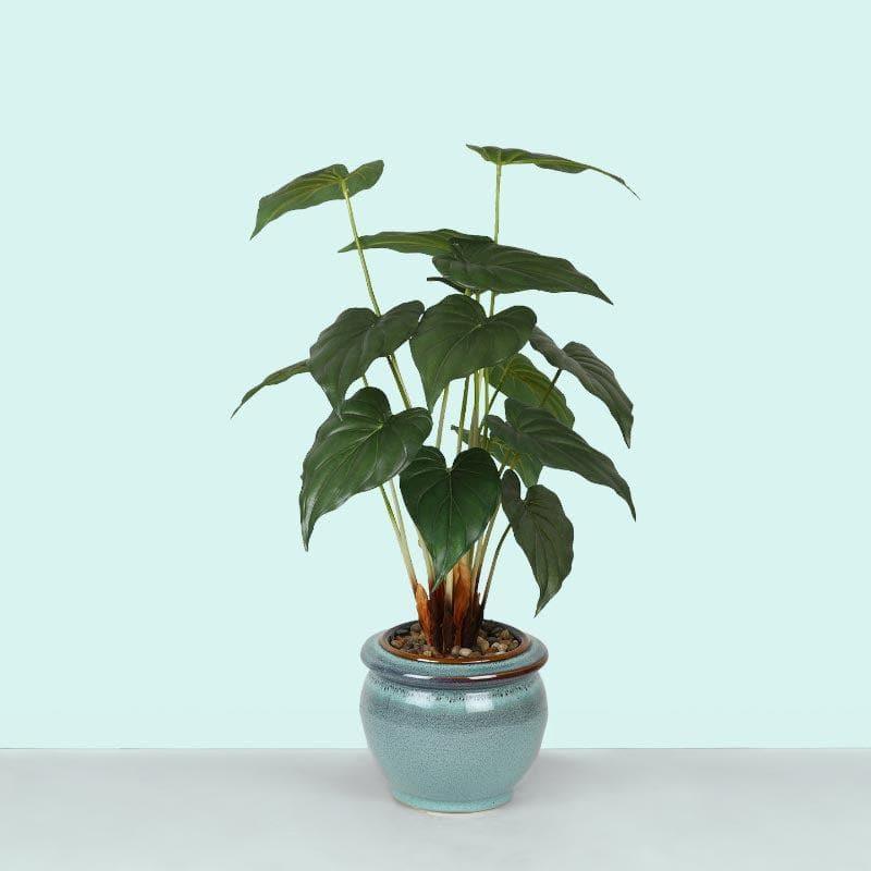 Buy Faux Alocasia Bonsai In Ceramic Pot (59 cms) - Turquoise Artificial Plants from Vaaree