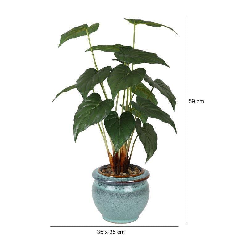 Buy Faux Alocasia Bonsai In Ceramic Pot (59 cms) - Turquoise Artificial Plants from Vaaree