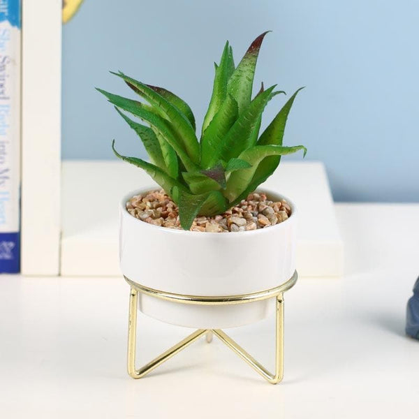 Artificial Plants - Faux Aloe Vera In Ceramic Pot - 14 cms