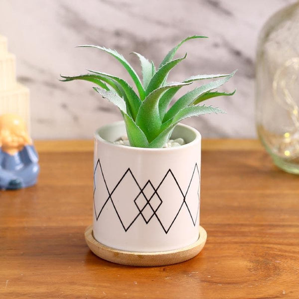 Buy Faux Aloe Vera In Minimalist Pot - 14 cms Artificial Plants from Vaaree