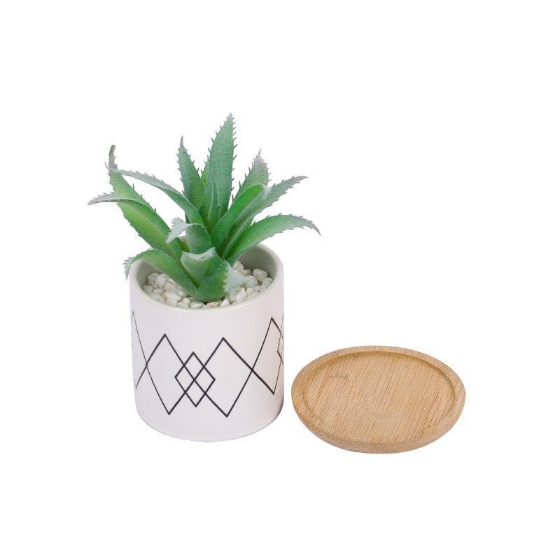 Buy Faux Aloe Vera In Minimalist Pot - 14 cms Artificial Plants from Vaaree