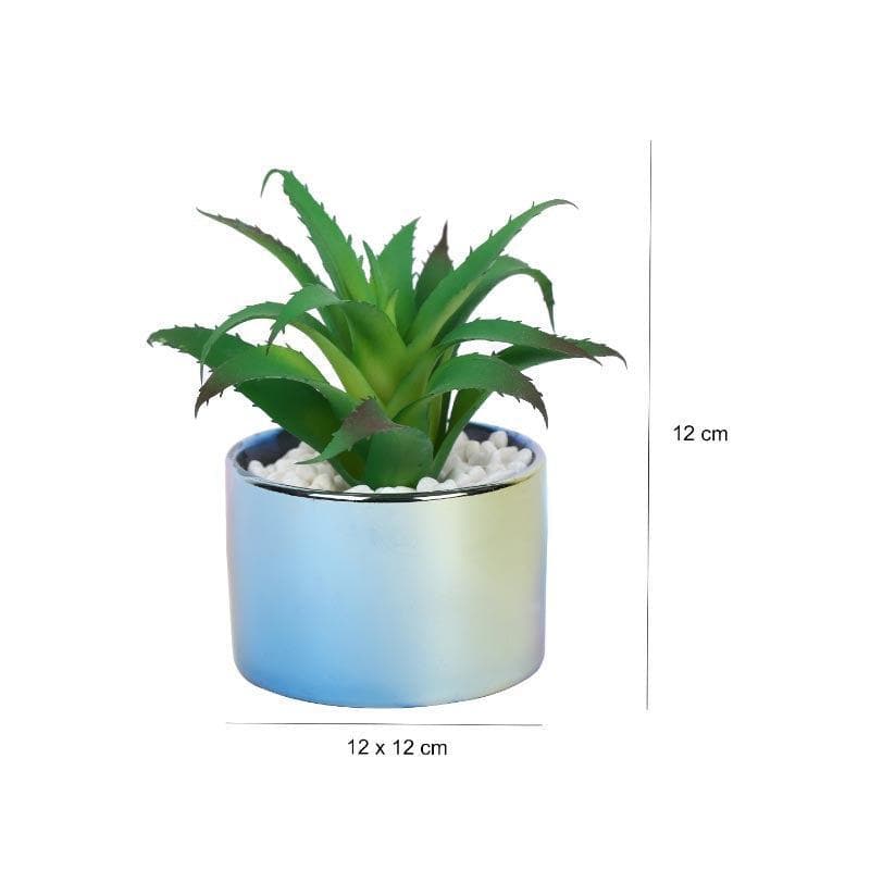 Buy Faux Aloe Vera In Ombre Pot - 12 cms Artificial Plants from Vaaree