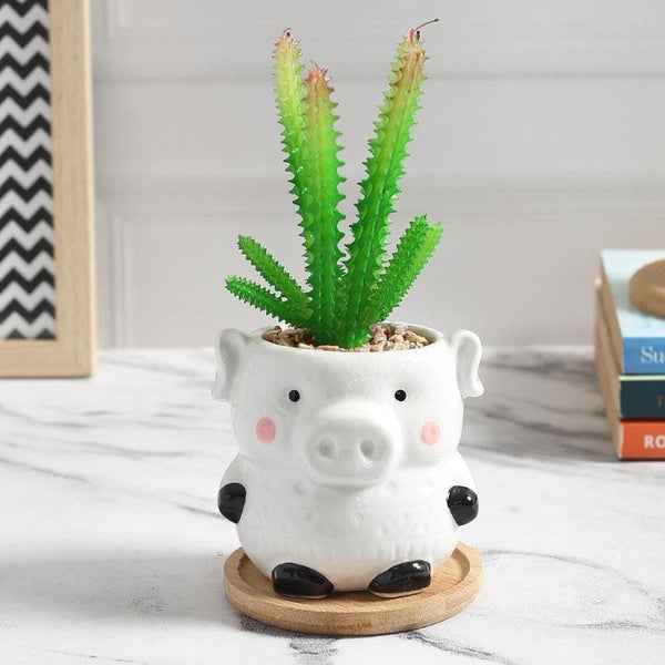 Artificial Plants - Faux Aloe Vera In Pig Face Pot - 13.5 cms