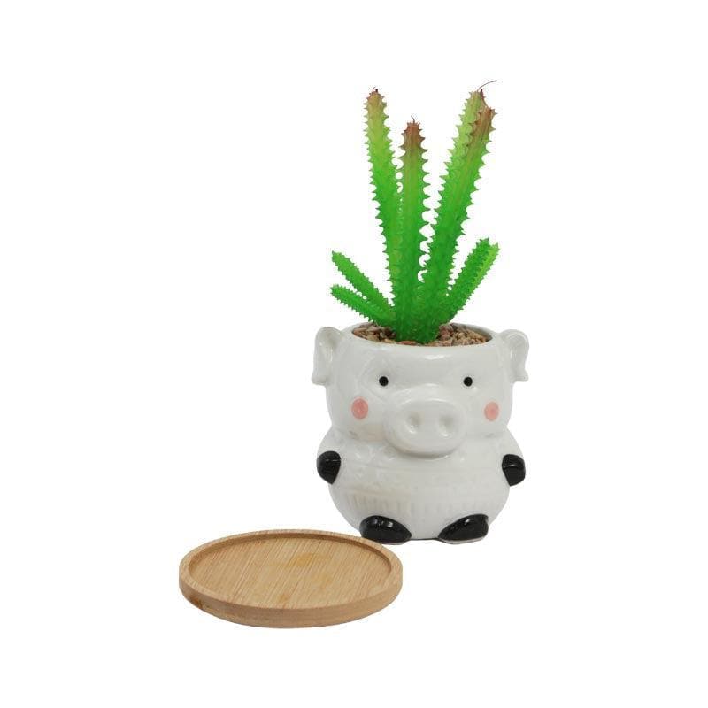 Artificial Plants - Faux Aloe Vera In Pig Face Pot - 13.5 cms