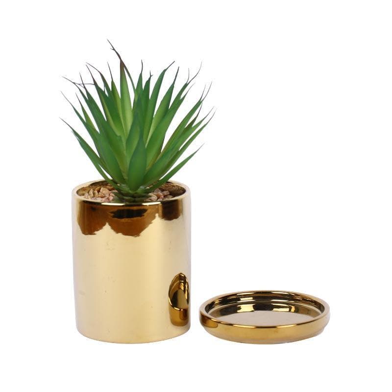 Artificial Plants - Faux Aloe Vera In Pot With Coaster (20 cms) - Big