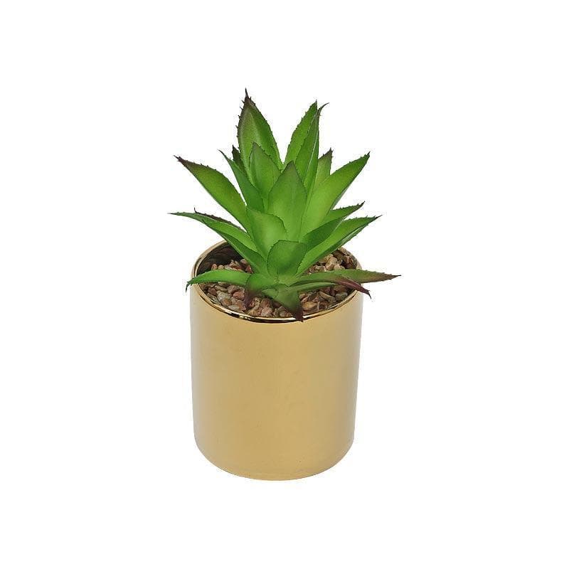 Artificial Plants - Faux Aloe Vera In Pot With Coaster (19.5 cms) - Small