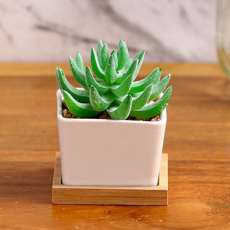 Buy Faux Aloe Vera In Square Pot - 9 cms Artificial Plants from Vaaree