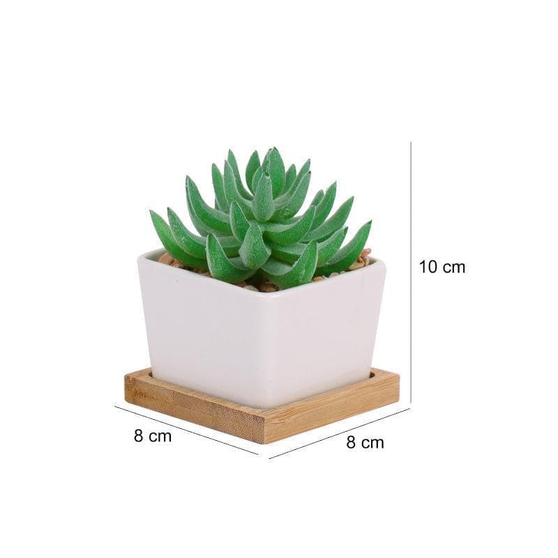 Buy Faux Aloe Vera In Square Pot - 9 cms Artificial Plants from Vaaree