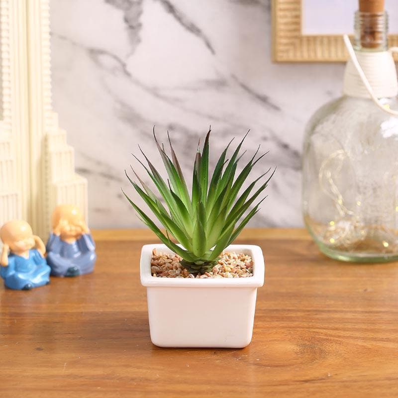 Artificial Plants - Faux Aloe Vera In White Pot - 13 cms