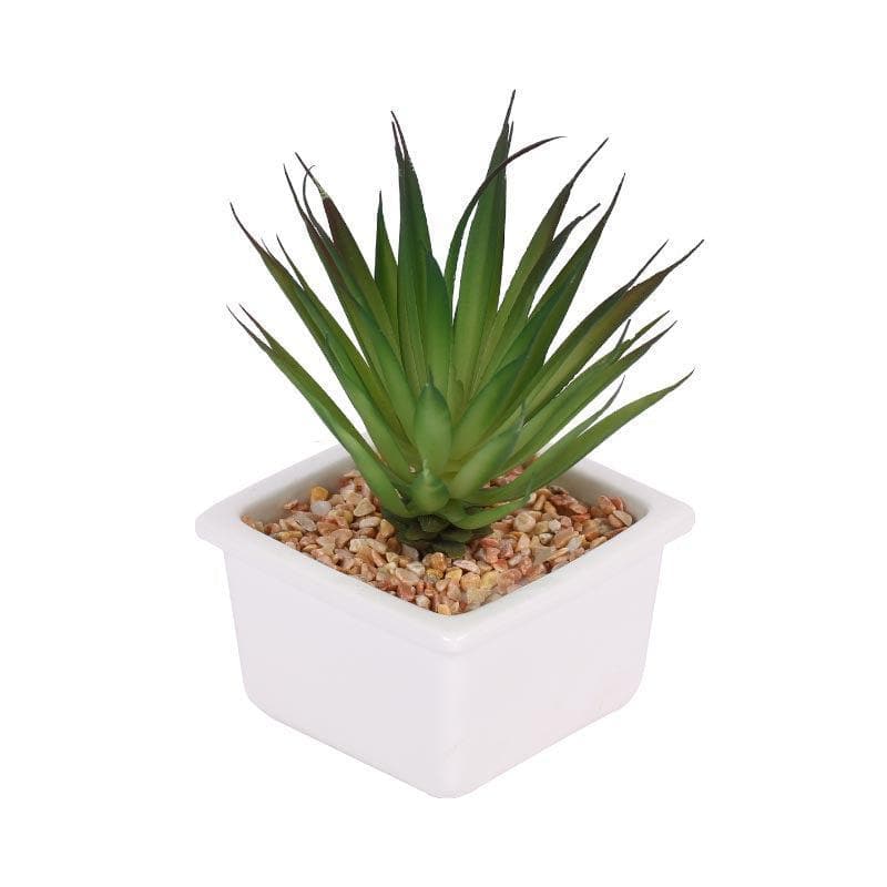 Artificial Plants - Faux Aloe Vera In White Pot - 13 cms