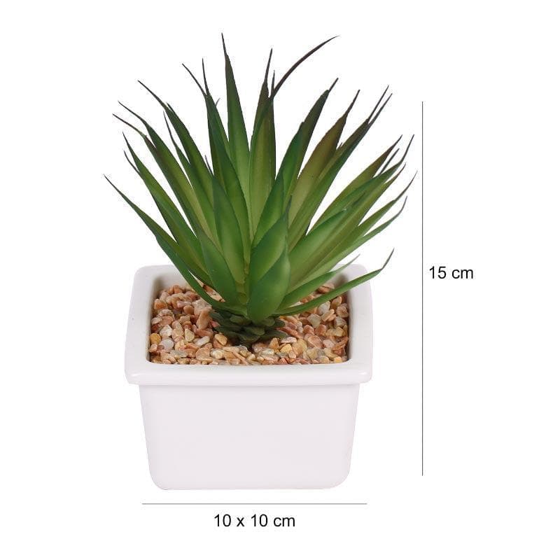 Artificial Plants - Faux Aloe Vera In White Pot - 13 cms