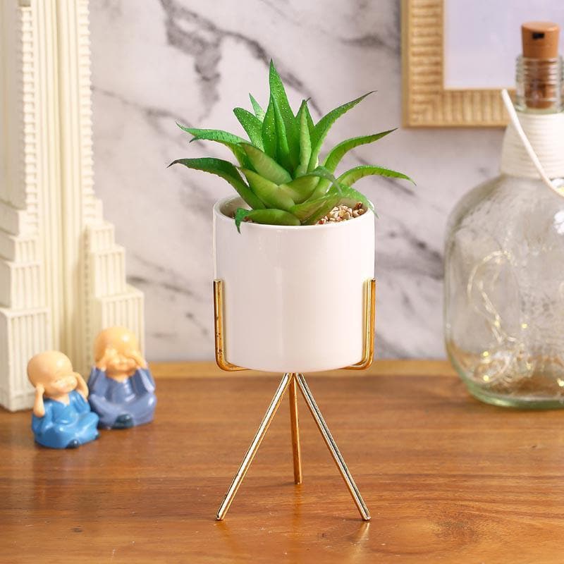 Buy Faux Aloe Vera In White Pot With Tripod (22.5 cms) - Big Artificial Plants from Vaaree