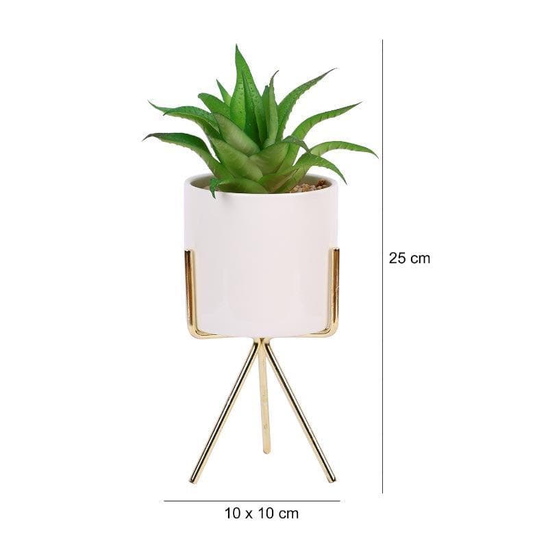 Artificial Plants - Faux Aloe Vera In White Pot With Tripod (22.5 cms) - Big