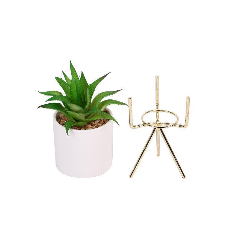 Artificial Plants - Faux Aloe Vera In White Pot With Tripod (22.5 cms) - Big