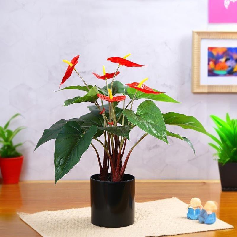 Buy Faux Anthurium Bonsai In Plastic Pot (40 cms) - Small Artificial Plants from Vaaree