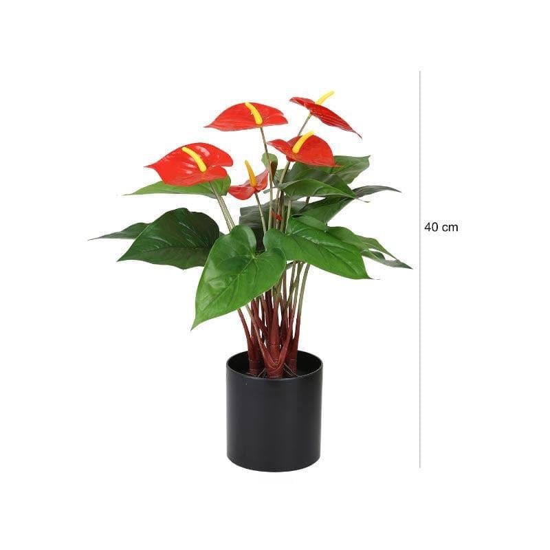 Buy Faux Anthurium Bonsai In Plastic Pot (40 cms) - Small Artificial Plants from Vaaree