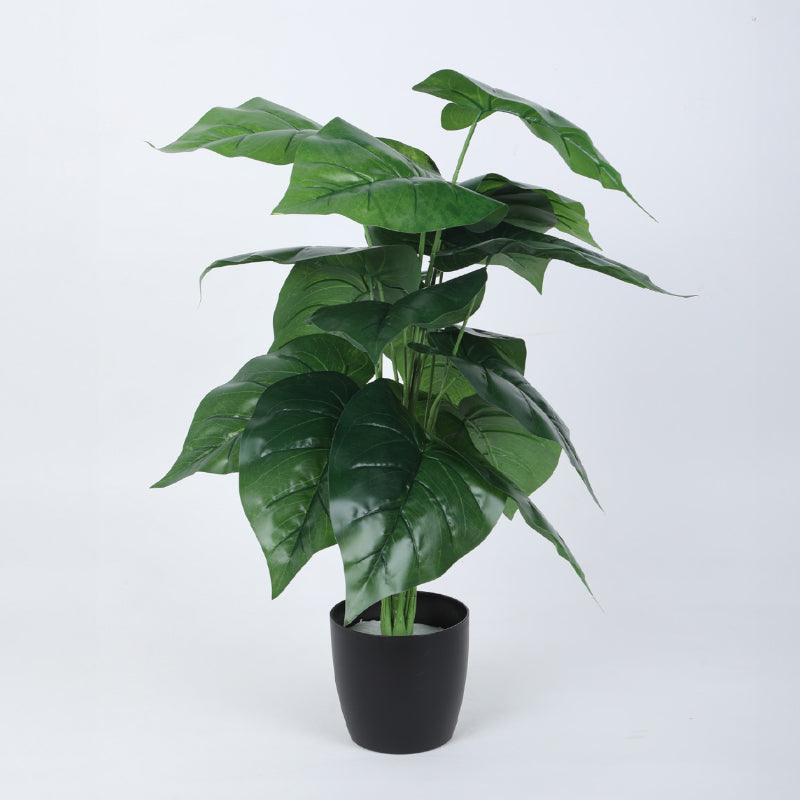 Artificial Plants - Faux Anthurium Silk Plant With Pot - 2.13 ft