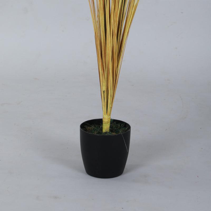 Buy Faux Baby Pink Grass With Pot - 2.95 ft Artificial Plants from Vaaree