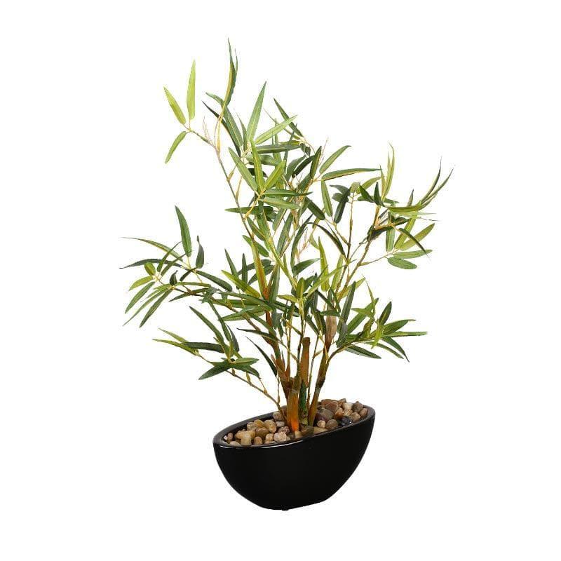 Buy Faux Bamboo Bonsai In Bowl Pot - 38 cms Artificial Plants from Vaaree