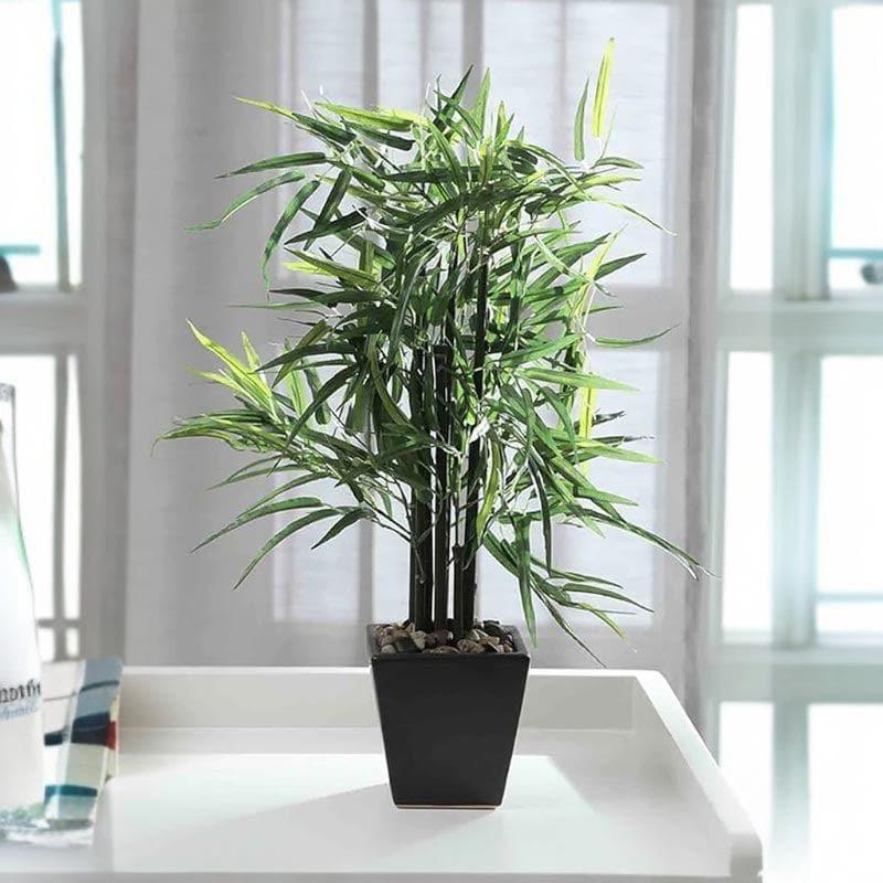 Buy Faux Bamboo Bonsai In Square Pot - 48 cms Artificial Plants from Vaaree