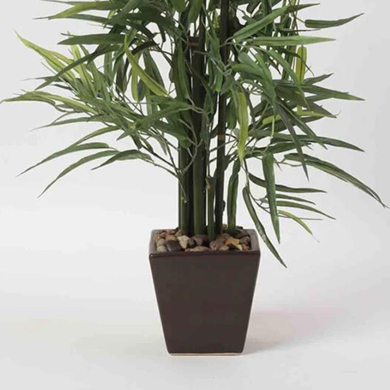 Buy Faux Bamboo Bonsai In Square Pot - 48 cms Artificial Plants from Vaaree