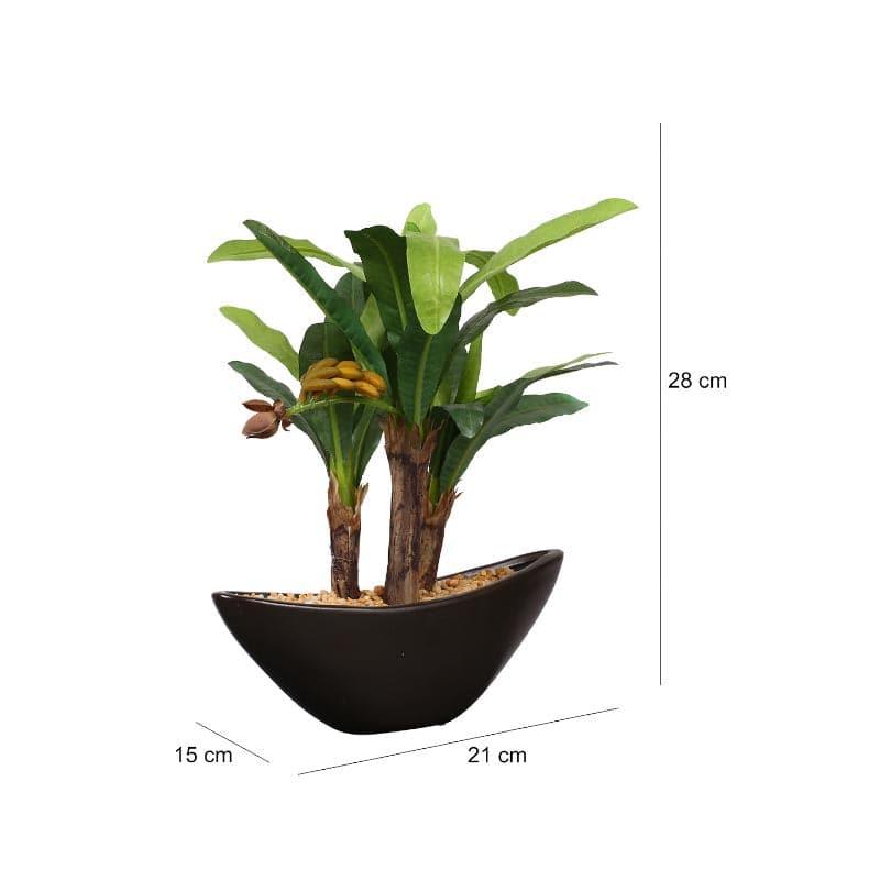 Buy Faux Banana Bonsai In Bowl Pot - 28 cms Artificial Plants from Vaaree