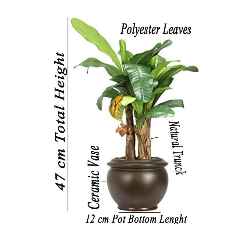 Buy Faux Banana Bonsai In Ceramic Pot (16 cms) - Big Artificial Plants from Vaaree