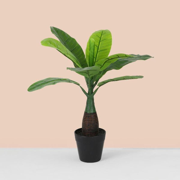 Artificial Plants - Faux Banana Bonsai In Plastic Pot (40 cms) - Big