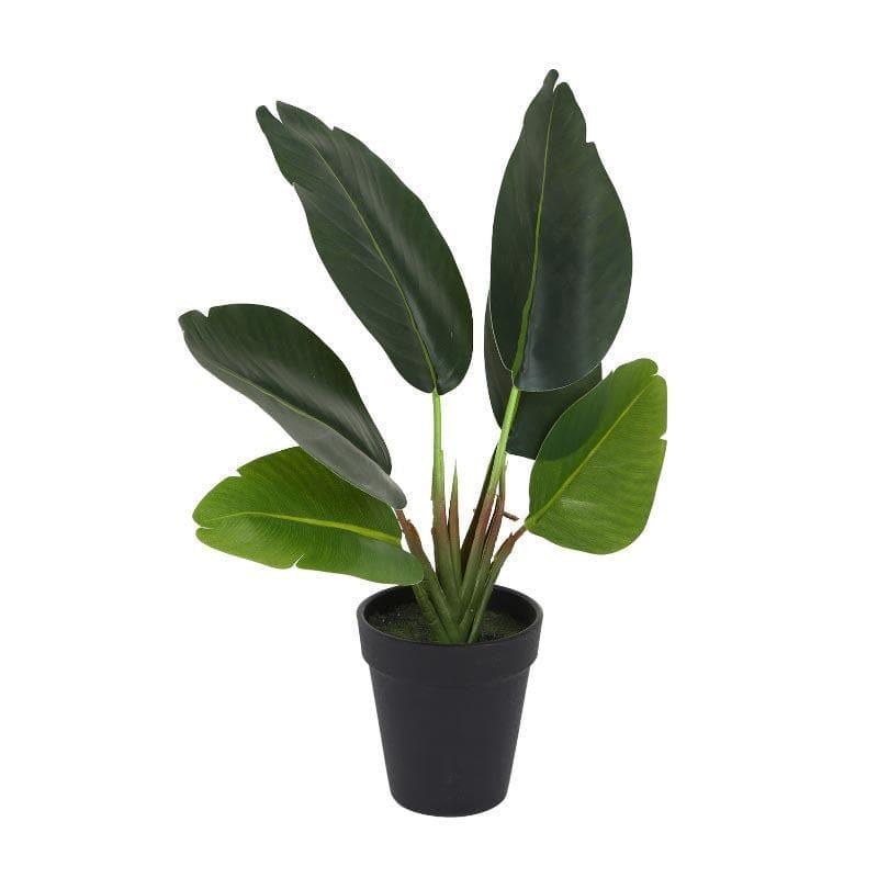 Artificial Plants - Faux Banana Bonsai In Plastic Pot (36 cms) - Small