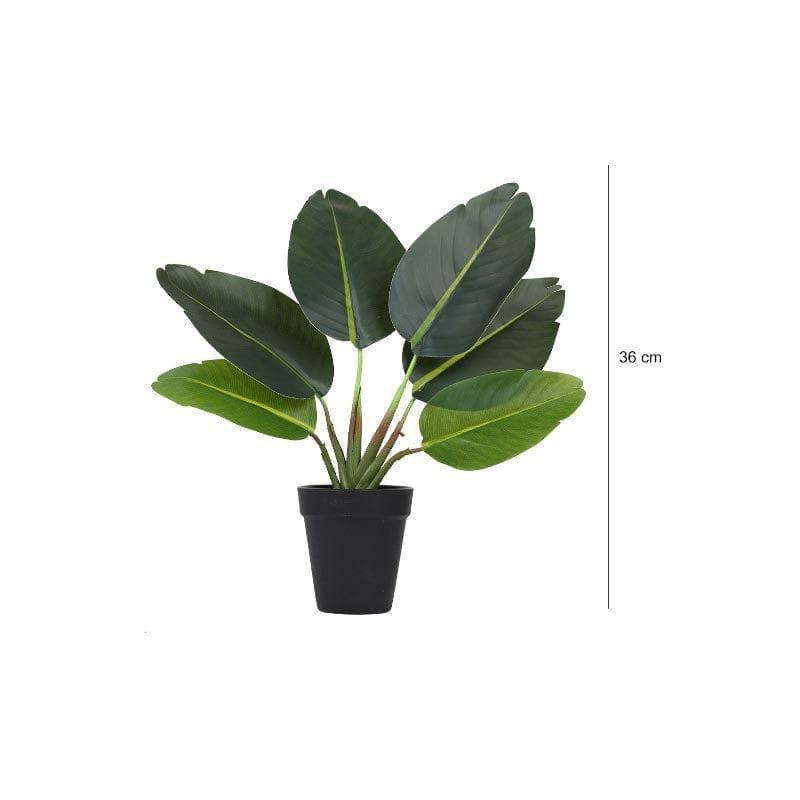 Buy Faux Banana Palm Bonsai In Plastic Pot (36 cms) - Small Artificial Plants from Vaaree