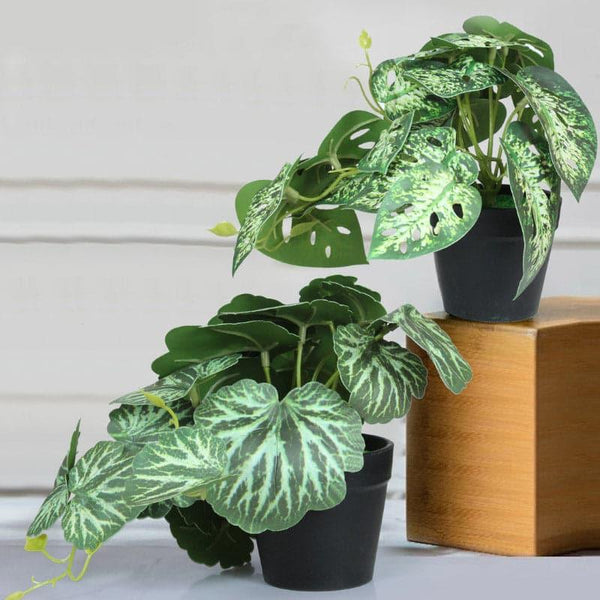 Artificial Plants - Faux Begonia Plant (18 cms) - Set Of Two