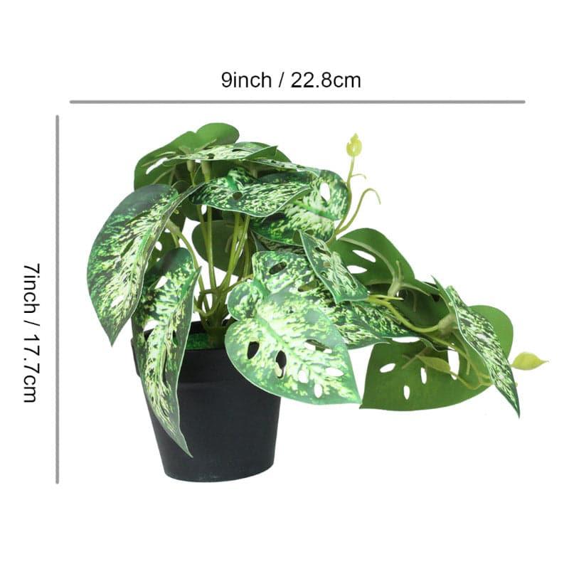 Artificial Plants - Faux Begonia Plant (18 cms) - Set Of Two