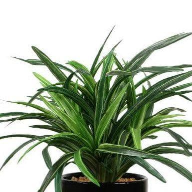 Artificial Plants - Faux Big Dracaena Bonsai (27 cms) - Green